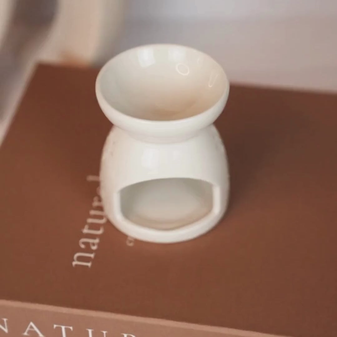 Ceramic Wax Melter