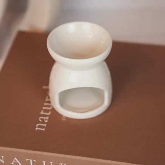 Ceramic Wax Melter